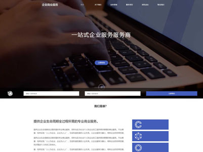 咨詢顧問商業(yè)服務網(wǎng)站設計-案例